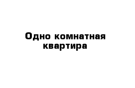 Одно комнатная квартира